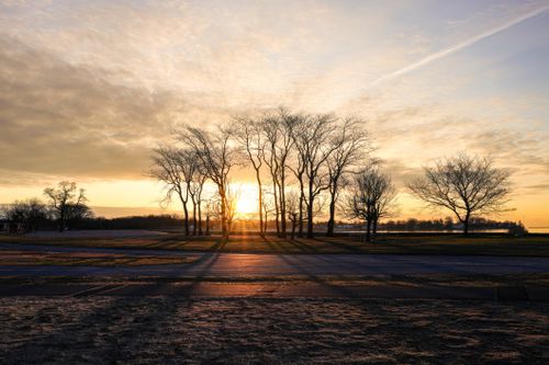 Free Tranquil sunset casting shadows through bare winter trees in a serene landscape. Stock Photo