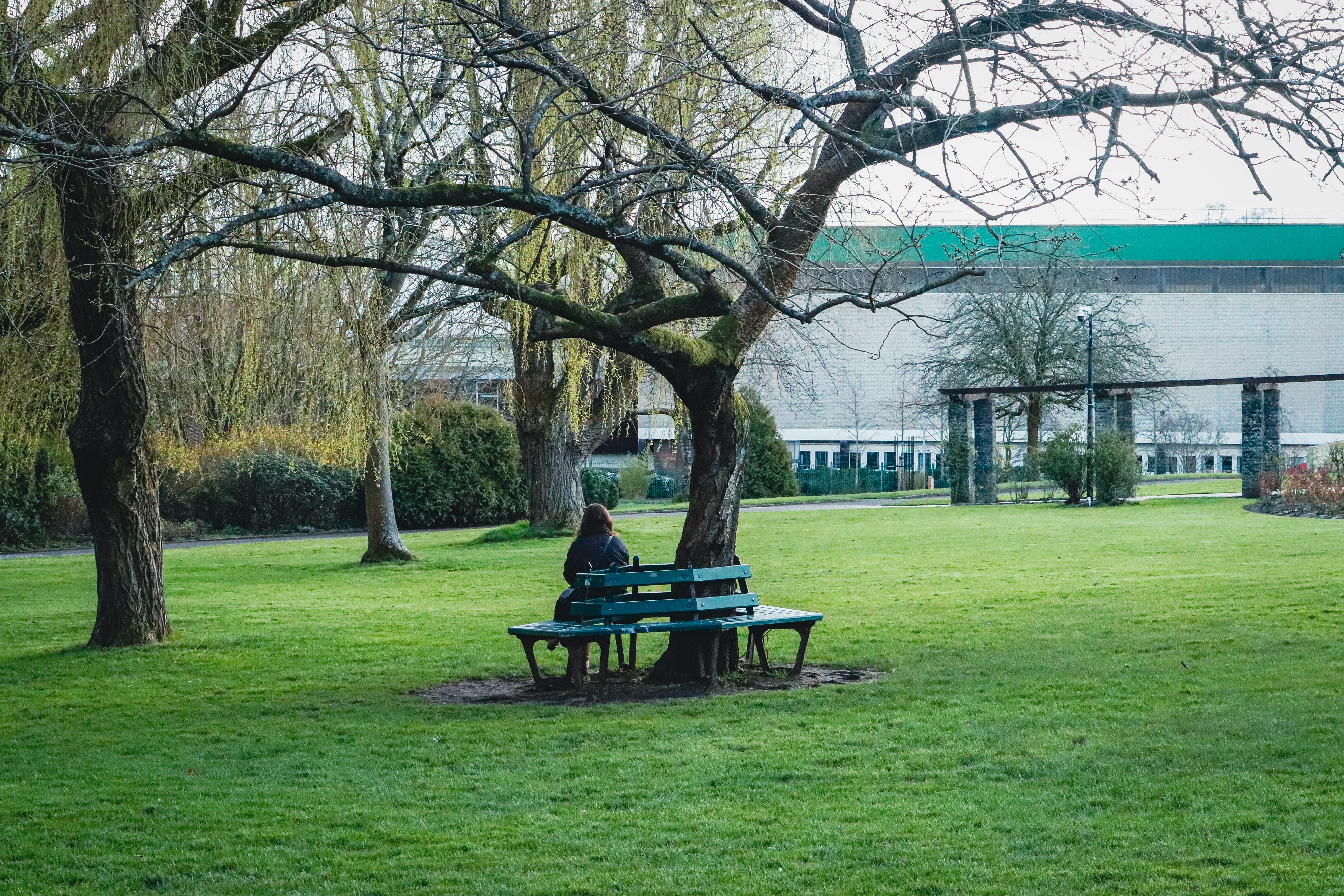 person sitting on a bench in a quiet park, hands folded, looking peaceful