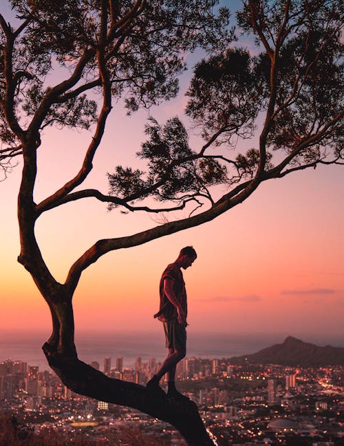 Free A Photography Of A Man Standing On A Tree Stock Photo