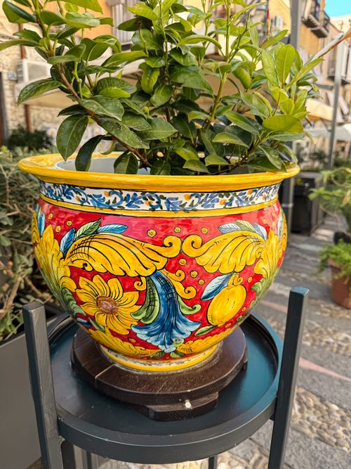 Free Colorful Italian ceramic pot with lush green plant outdoors in a sunny setting. Stock Photo