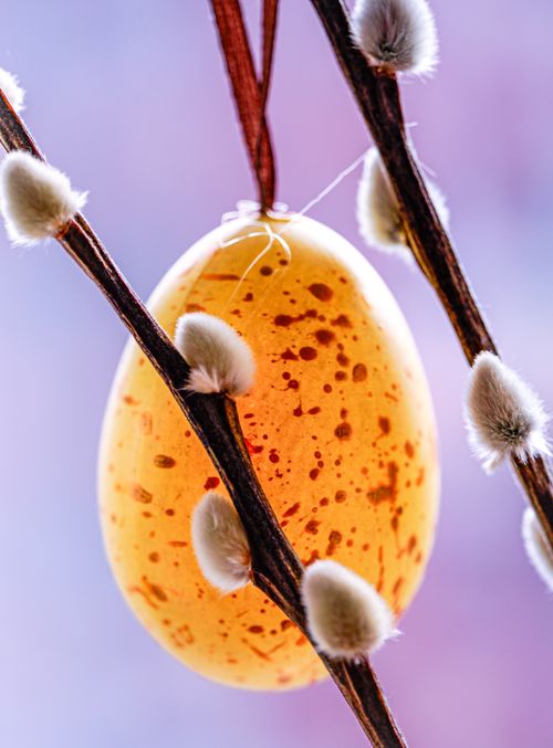 Free Decorative speckled Easter egg hanging among pussy willow branches, symbolizing spring Stock Photo