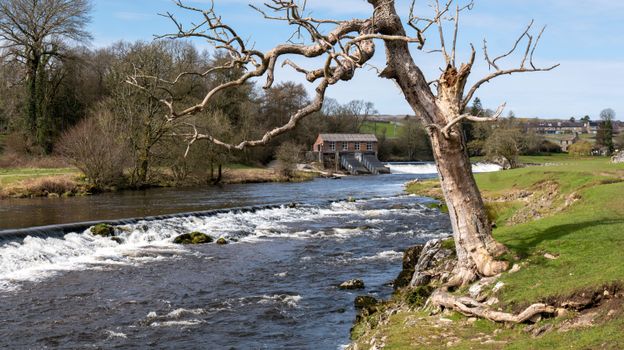 Peaceful view of Linton Weir and hydro station along a river with bare tree in the foreground.