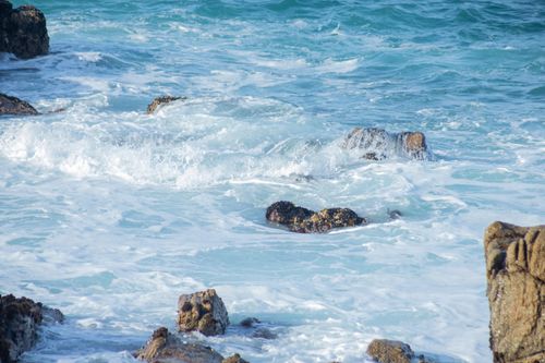 Free Dynamic ocean waves crashing against rocks on a sunny day in Monterey, California. Stock Photo