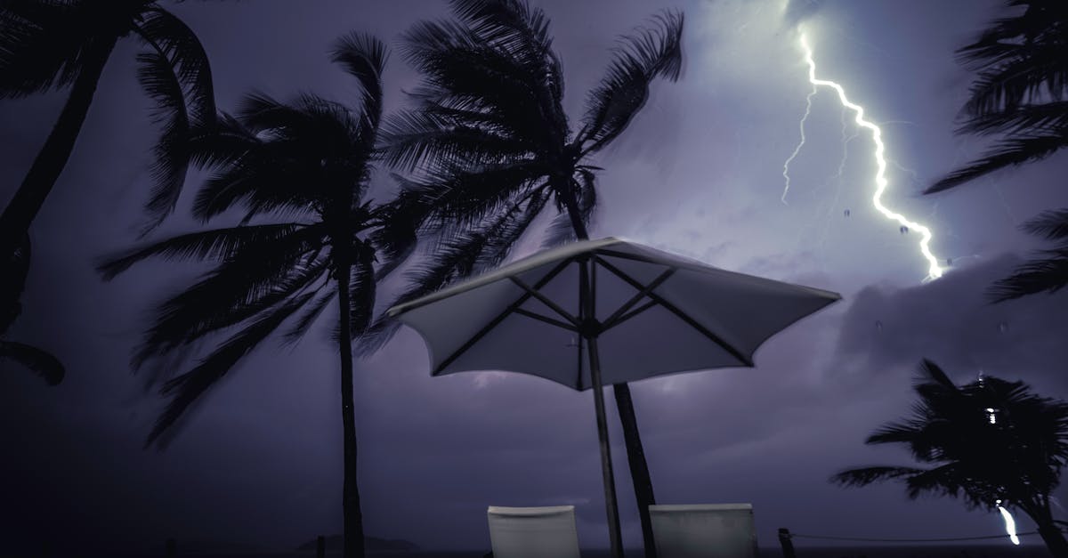Photo by Ludvig Hedenborg Powerful lightning illuminates the stormy night sky over palm trees, epitomizing nature's raw power.