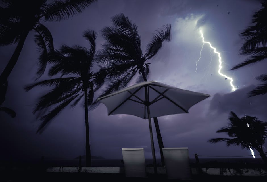 Photo by Ludvig Hedenborg Powerful lightning illuminates the stormy night sky over palm trees, epitomizing nature's raw power.