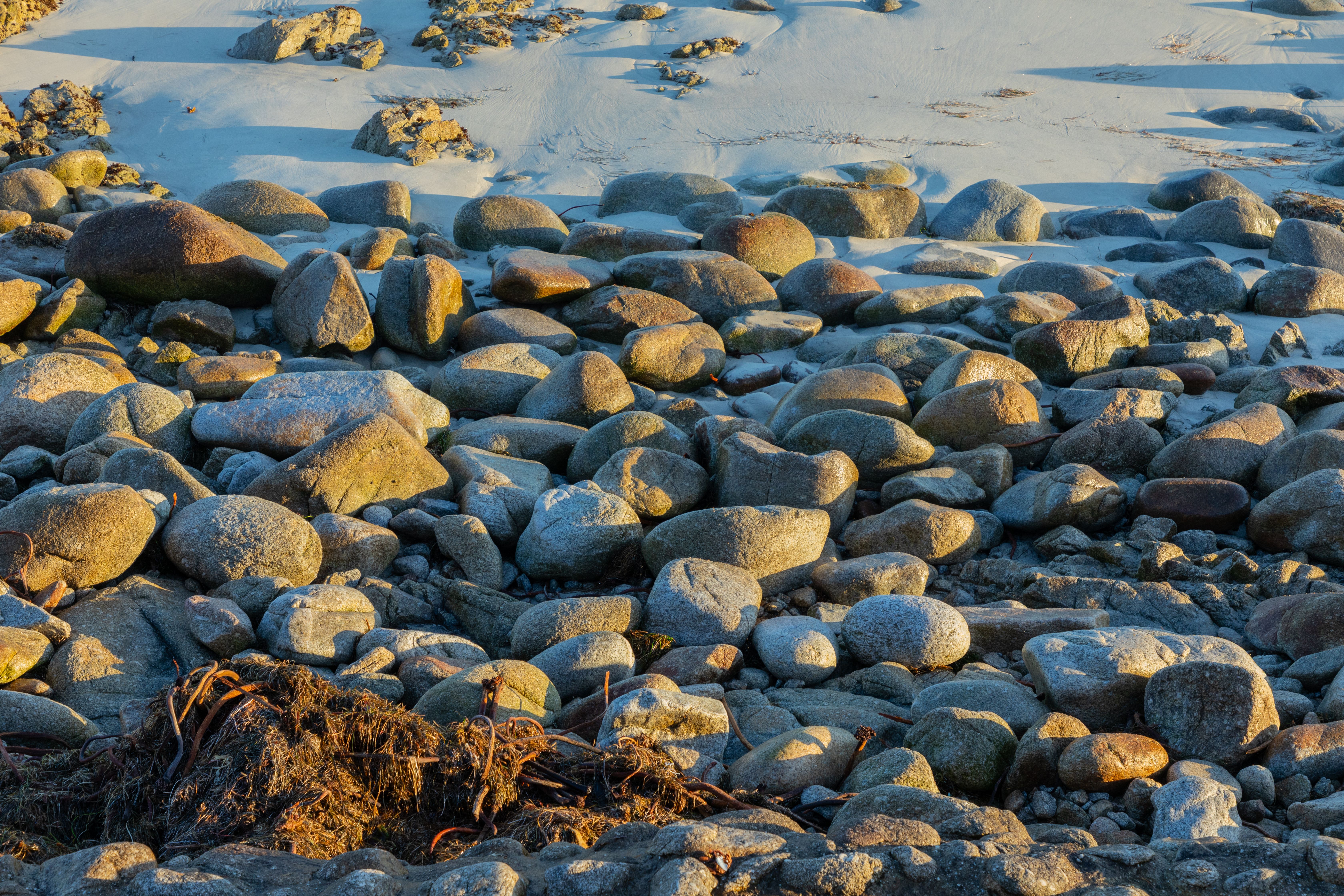 A stunning view of the rocky shoreline at Monterey Beach, California.