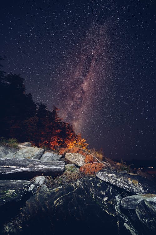 Free Galaxy Photo During Night time Stock Photo