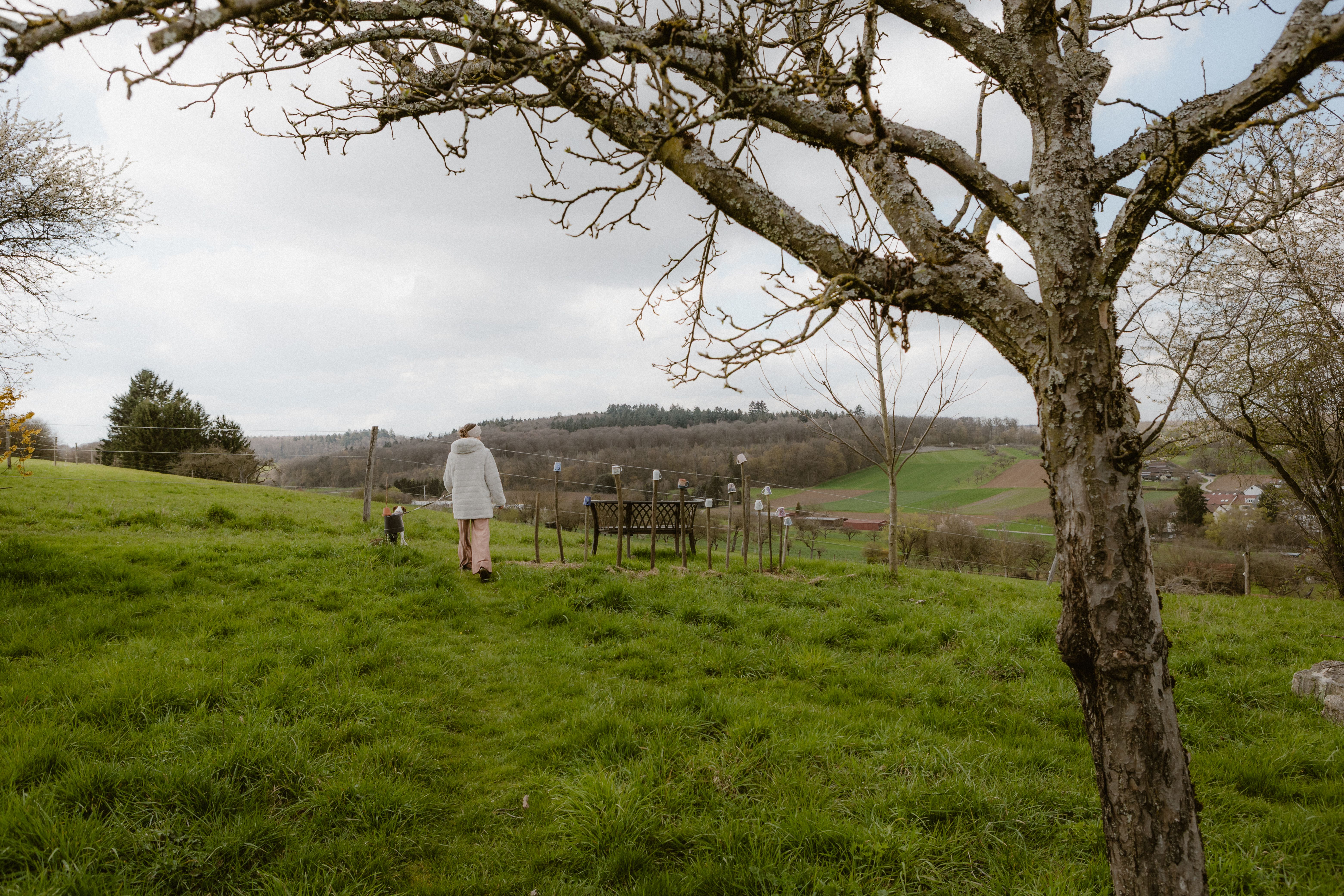 Fence and Decking Painting in Derry Downs — surfaces prepped and cut in by hand