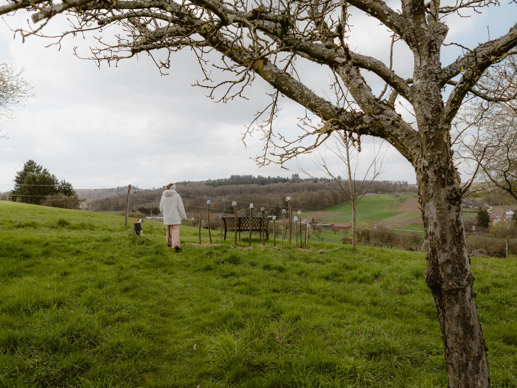 Fence and Decking Painting in Derry Downs — surfaces prepped and cut in by hand