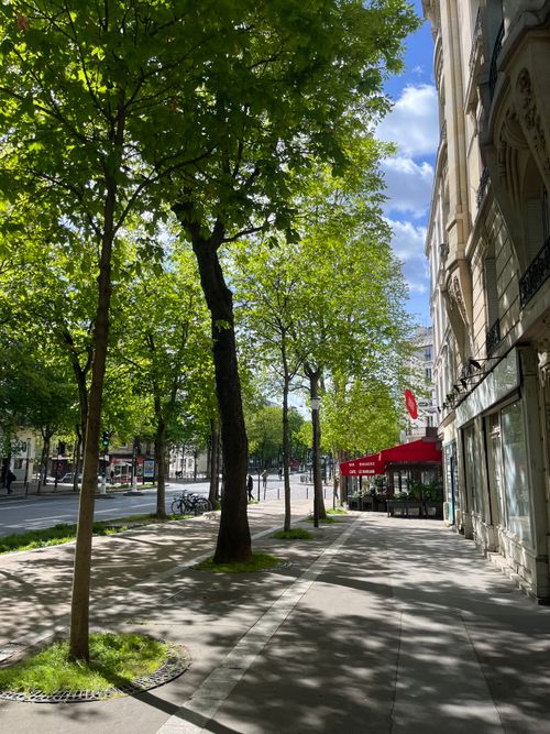 Free Bright spring day on a leafy Paris street with a charming cafe and modern architecture. Stock Photo