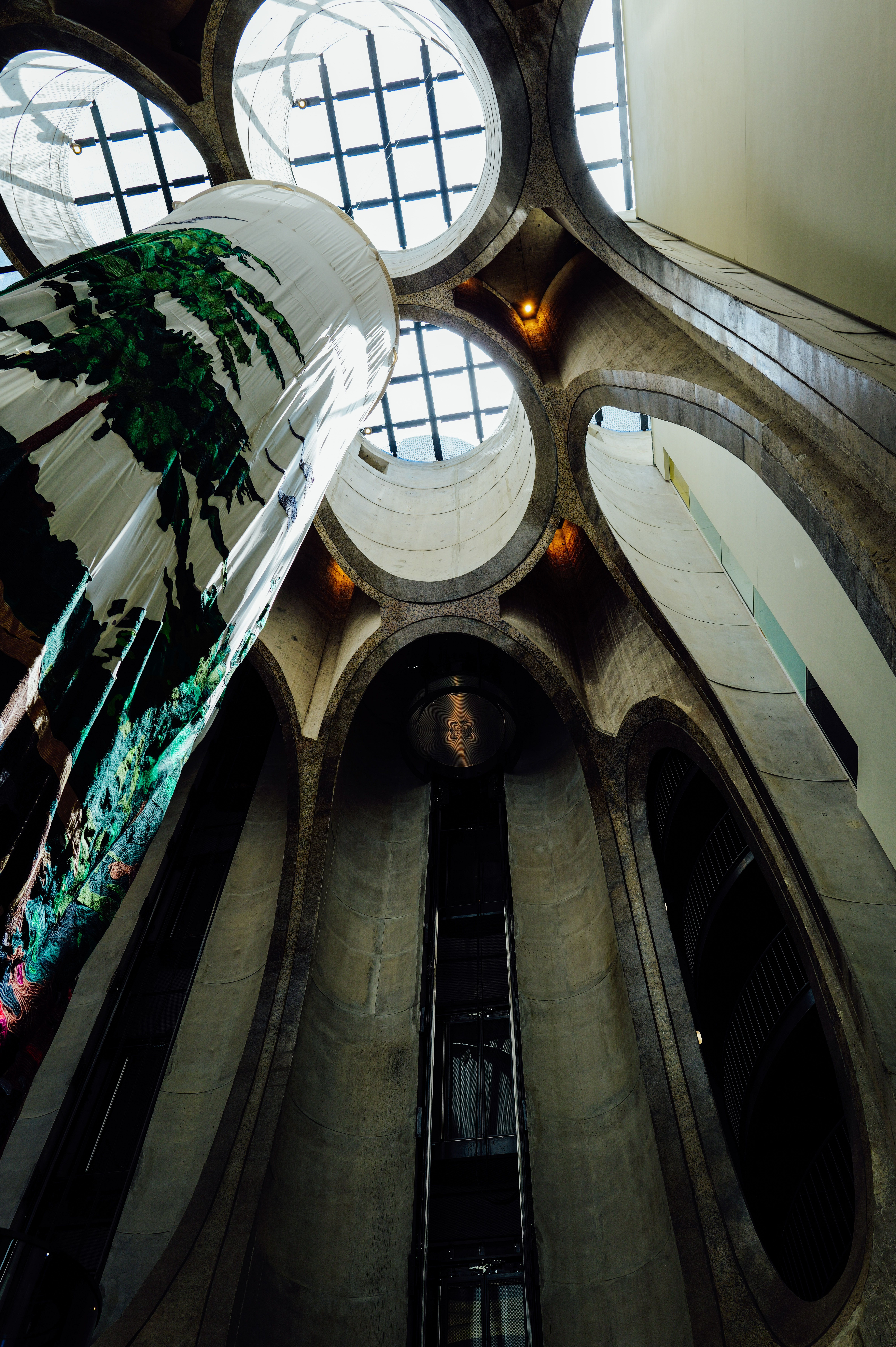 Australia Museum Photos, Download The BEST Free Australia Museum Stock ...