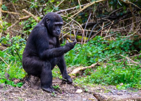Lake Bunyonyi island canoe — Uganda — Bwindi Gorillas
