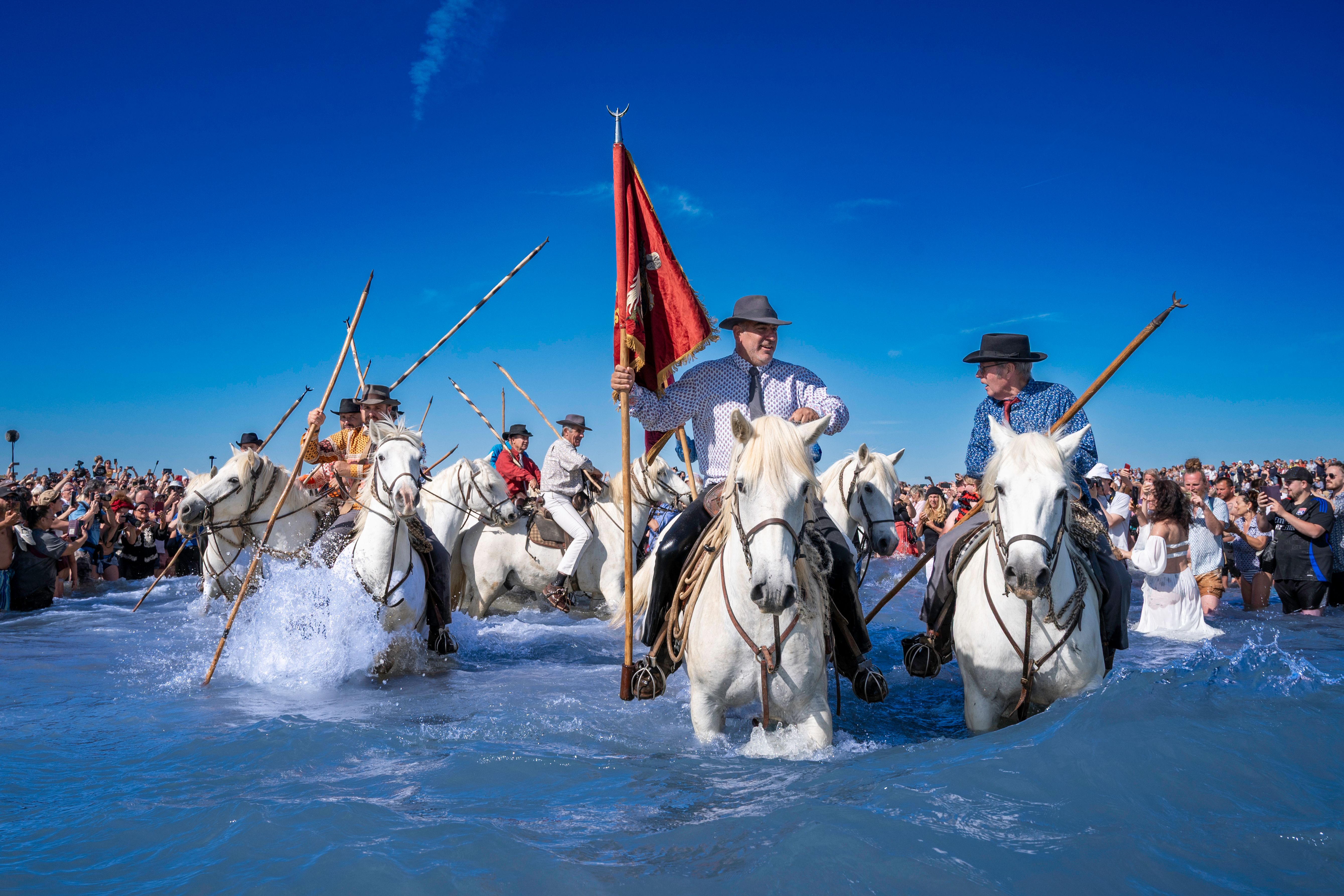 Traditional Horse Riders Crossing Festival Waters · Free Stock Photo