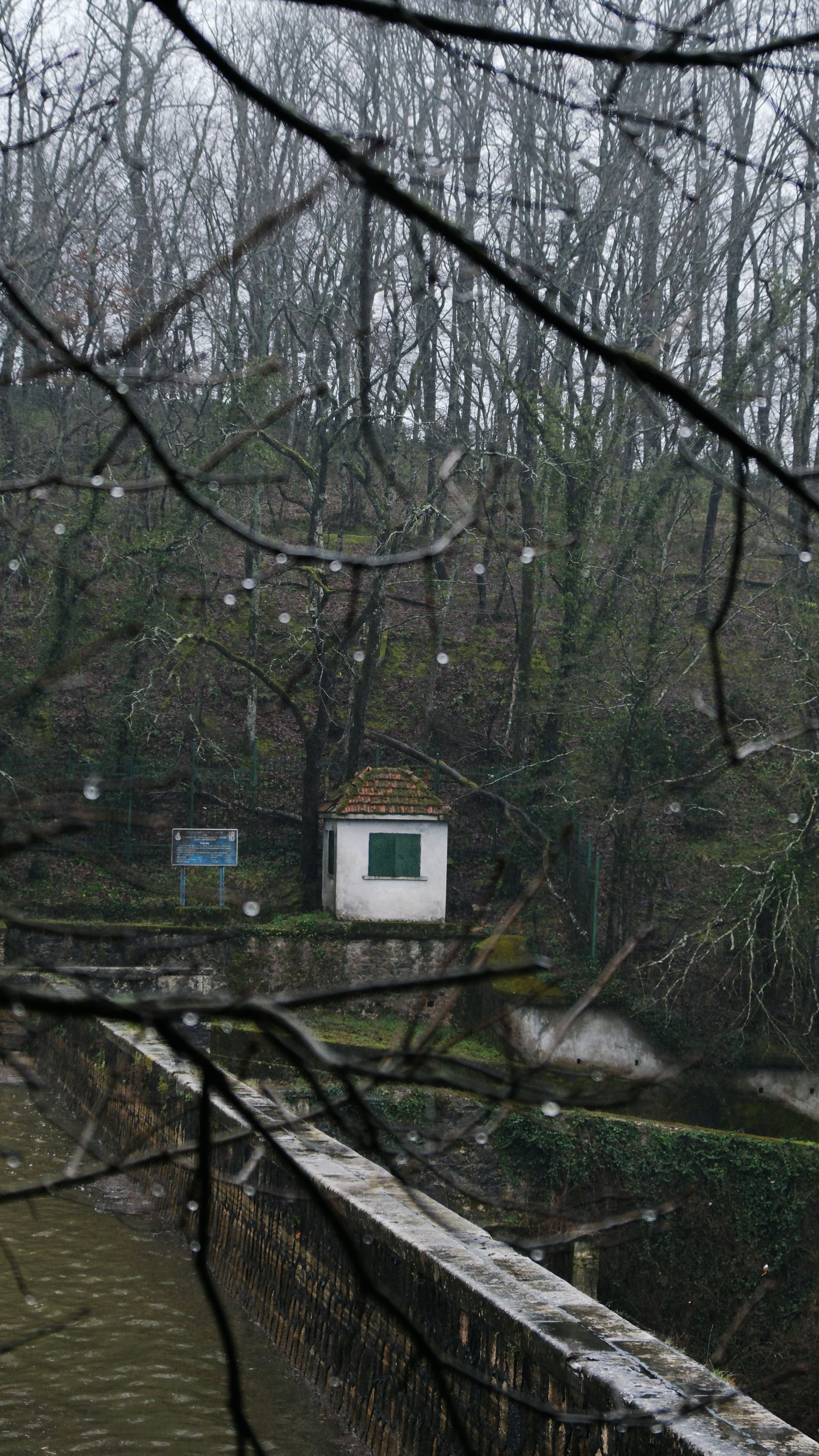 Tree House Rainy Photos, Download The BEST Free Tree House Rainy Stock ...