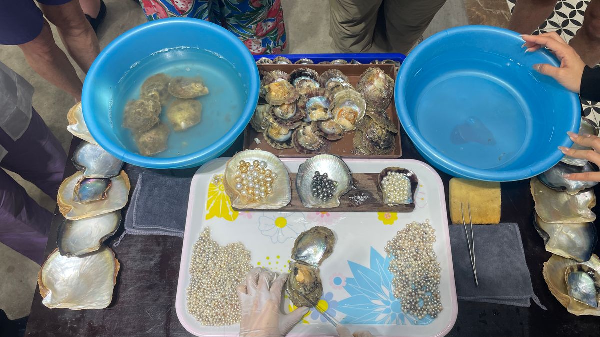 Sulu culture