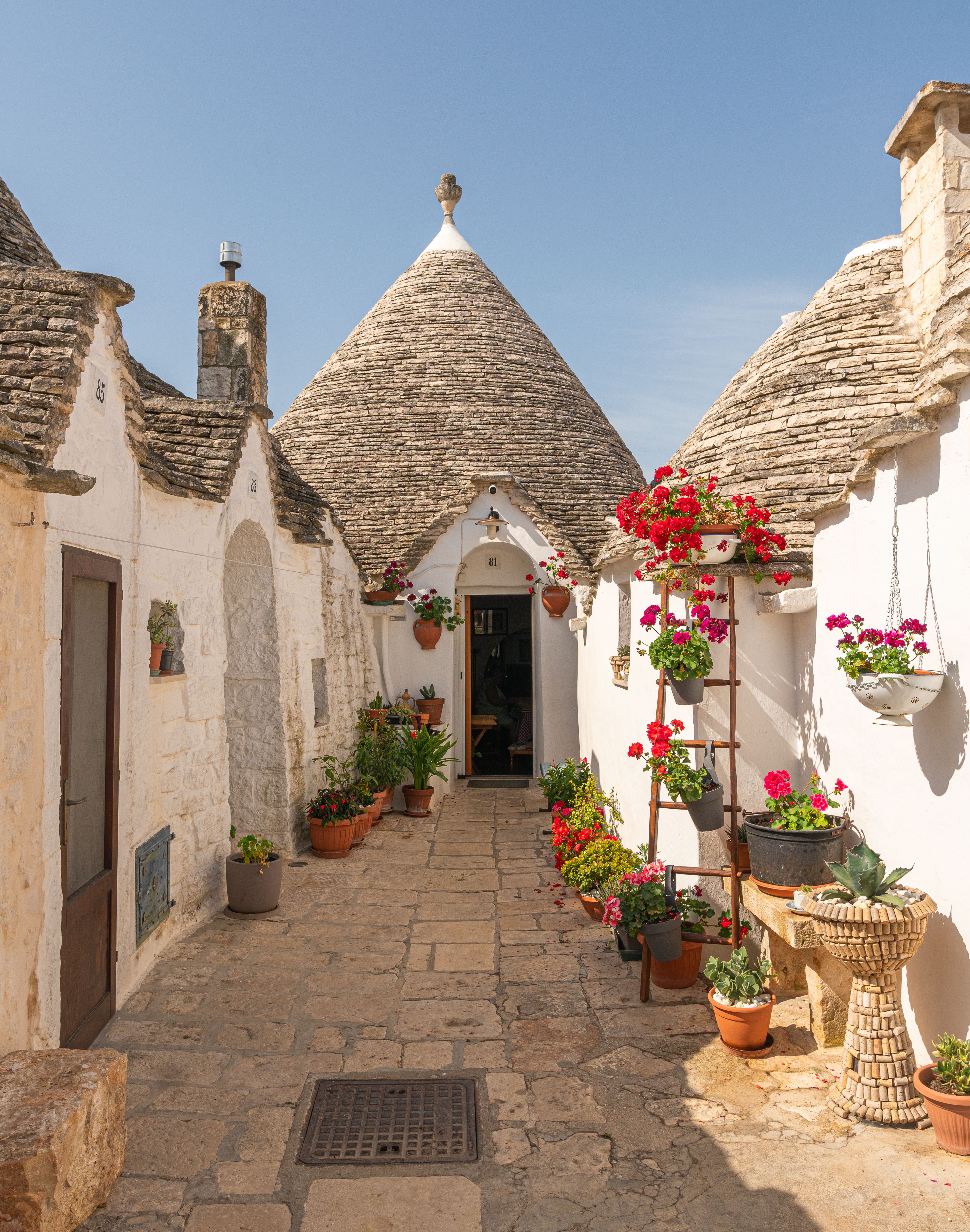 Picturesque view of iconic Trulli houses and colorful flowers in Alberobello, Italy.