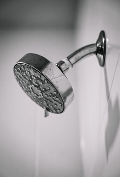 Black and white photo of a sleek, metal showerhead mounted on a bathroom wall.