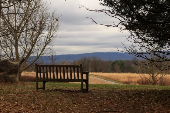 Skyland Resort, Skyline Drive mile 41 · on the AT