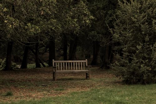 Free A solitary wooden bench surrounded by dense forest in Boyce, Virginia, exudes tranquility. Stock Photo