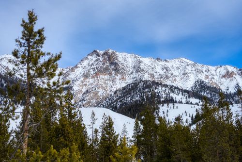 Free Majestic snow-capped mountain with evergreen pines under a clear blue sky during winter. Stock Photo