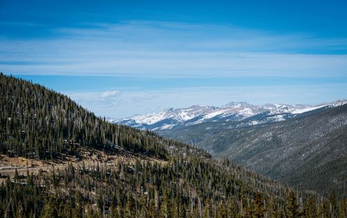 Free Spectacular view of snow-capped Rocky Mountains with dense forest in foreground under clear blue sky. Stock Photo