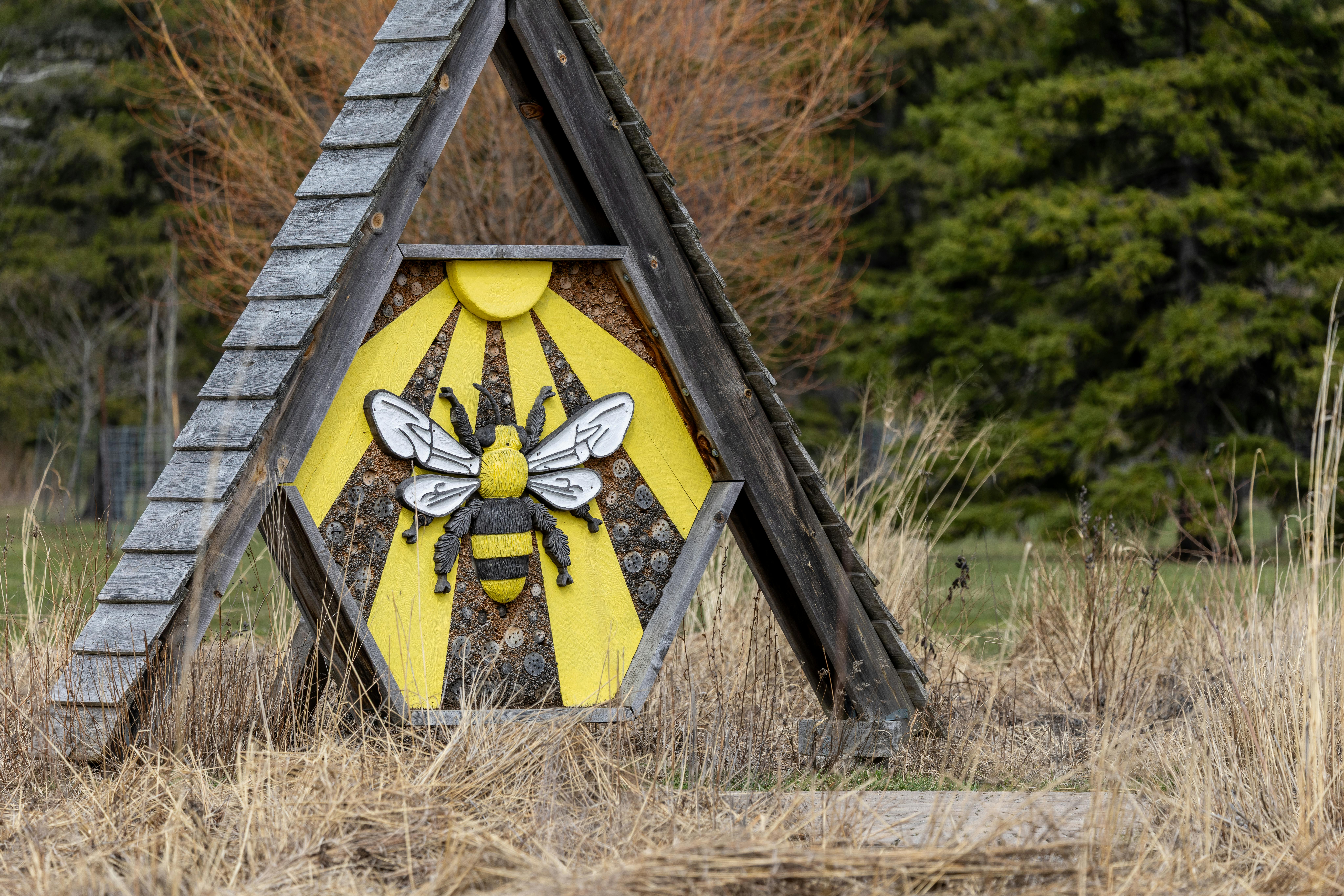 Ark Valley Civics Bee Competition to Send Three Local Students to State — Photo by Ali   Soheil on Pexels