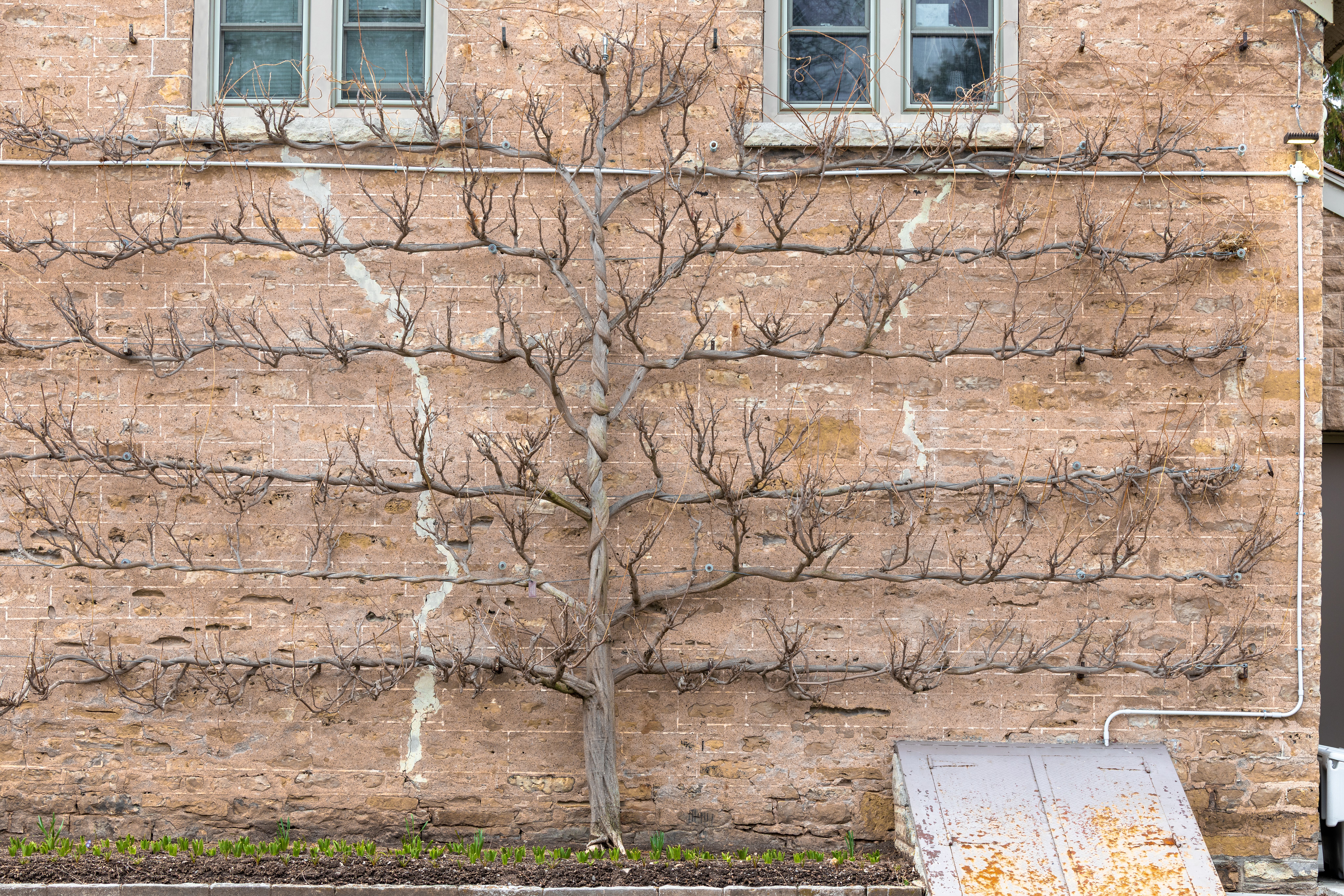 Winterizing Your Windows: The Gap Tests and Fixes That Cut Your Heating Bill