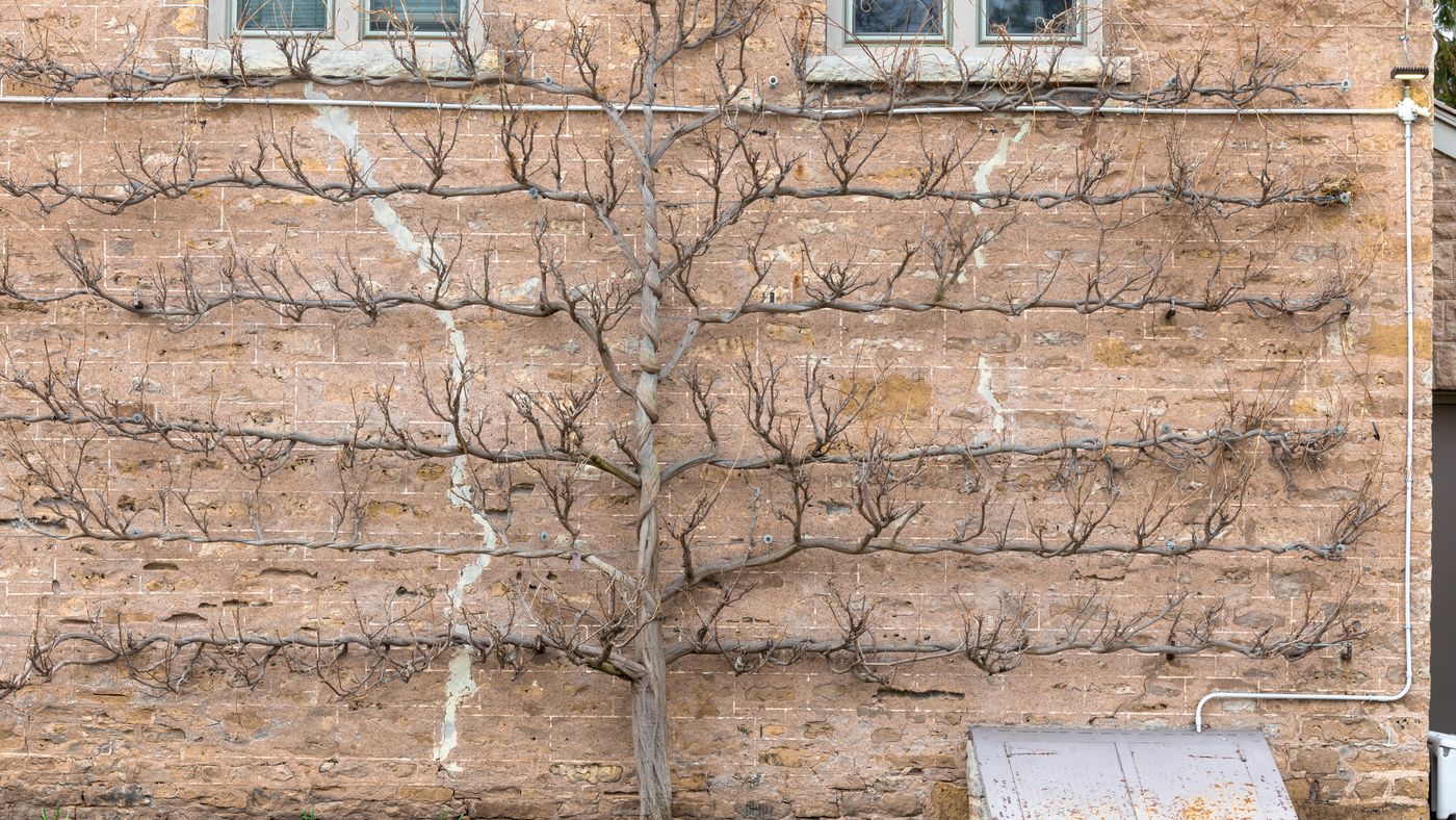 Winterizing Your Windows: The Gap Tests and Fixes That Cut Your Heating Bill