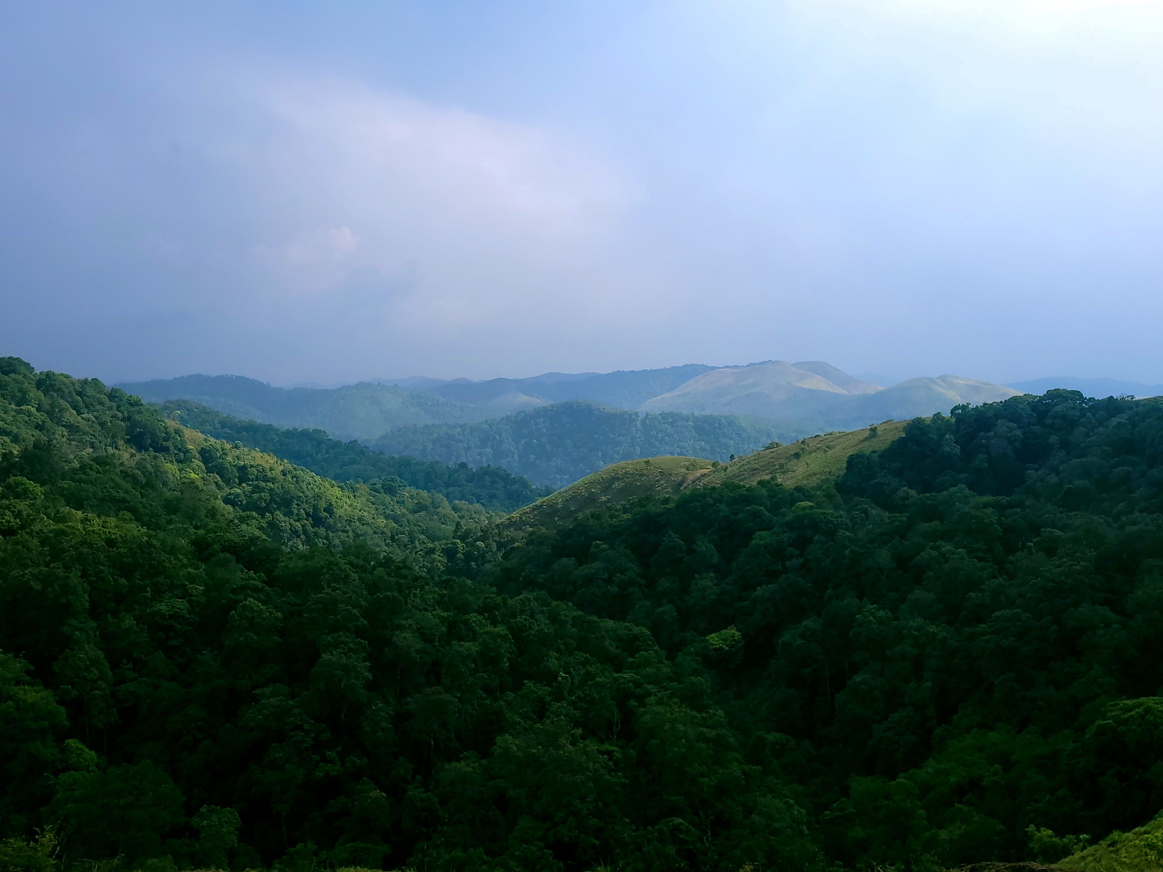 Coorg with Family: Stays and Things to Do