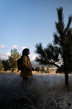 A woman in a yellow coat enjoying nature on a hike through a pine forest under clear skies.