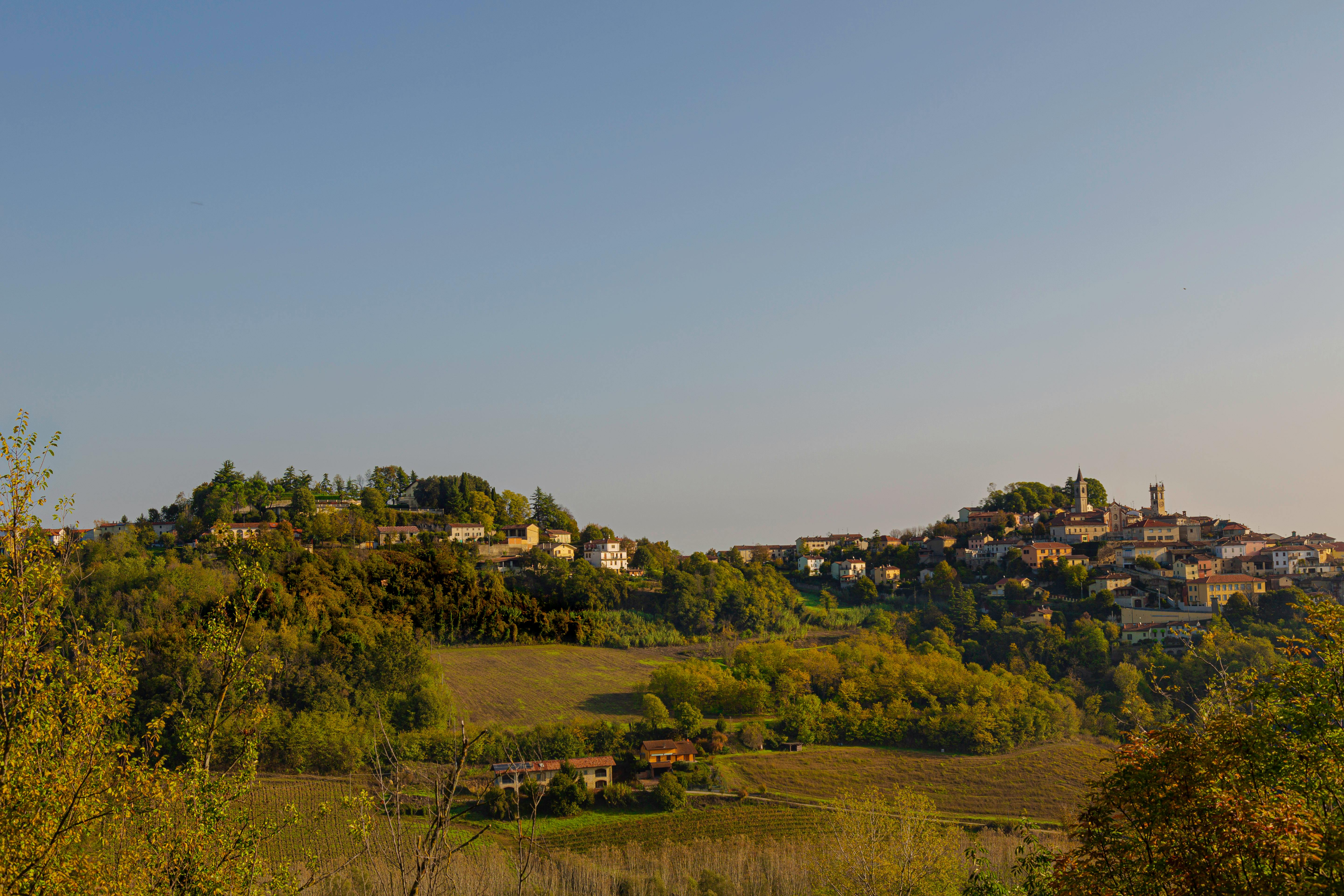 Guida a Monferrato: Colline di vino, castelli e tradizione