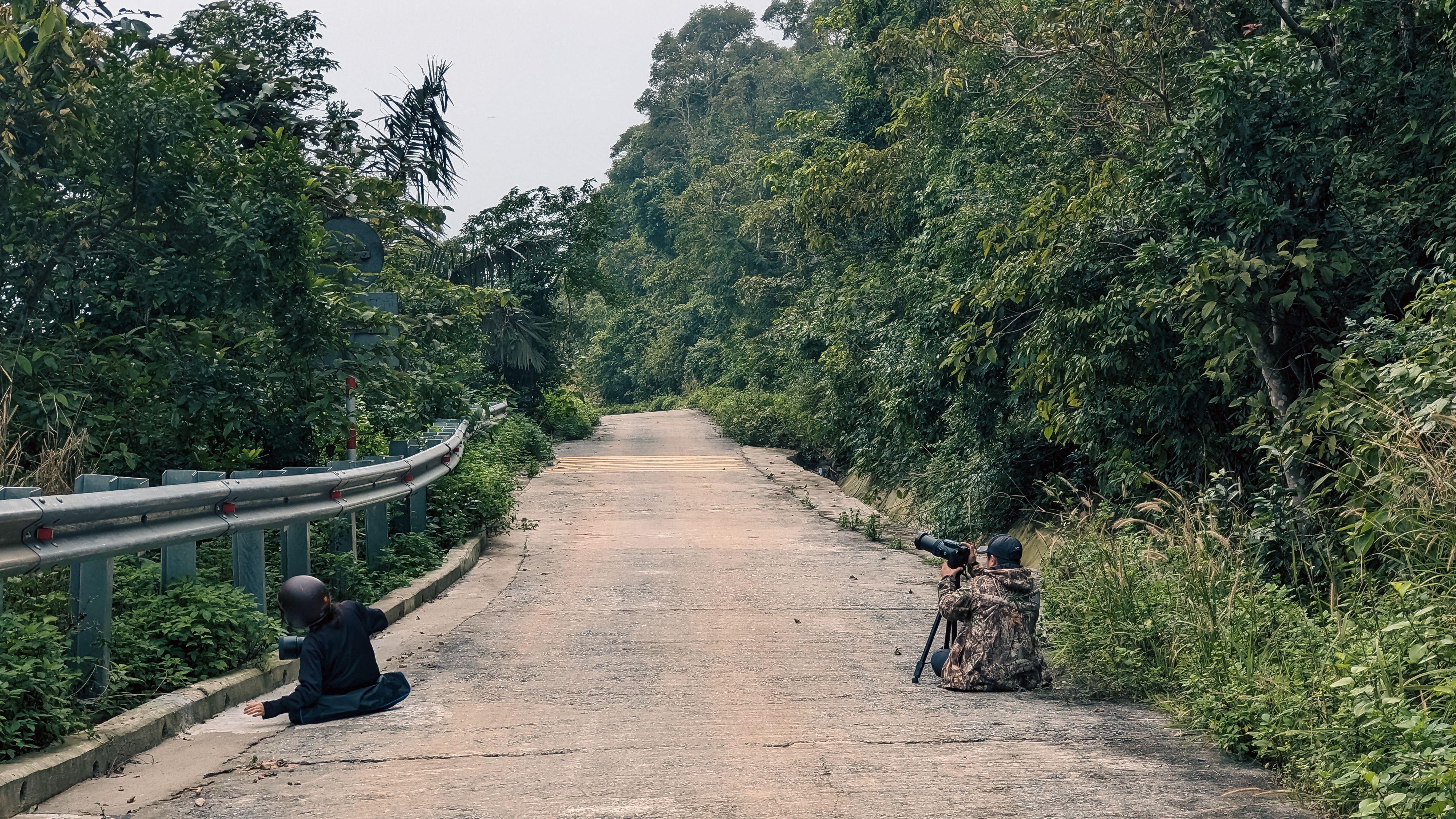 Photographer with camera capturing the lush greenery in Da Nang's serene wilderness.