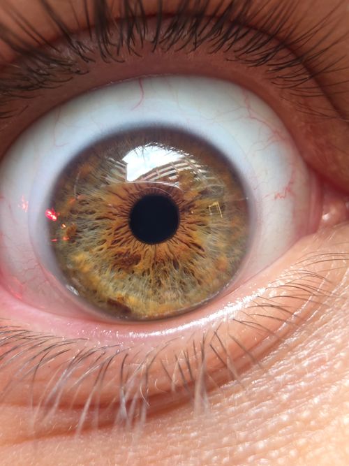 Free Detailed macro shot of a human eye showcasing the intricate patterns of a brown iris. Stock Photo
