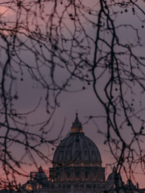 View of St. Peter's Basilica dome in Rome through bare branches at dusk, creating a moody scene.