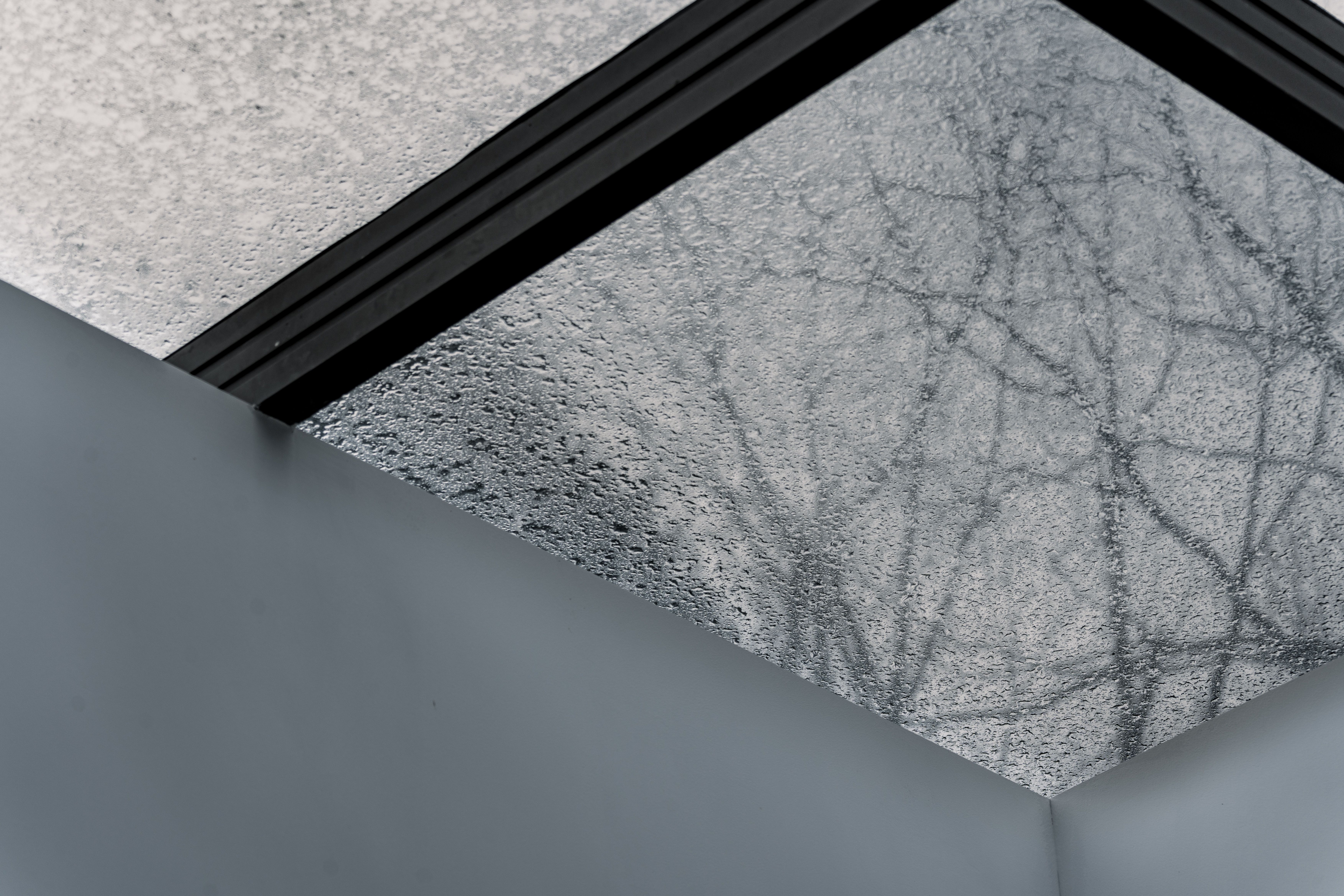 A geometric composition featuring a frosted glass roof panel with visible tree branch patterns.