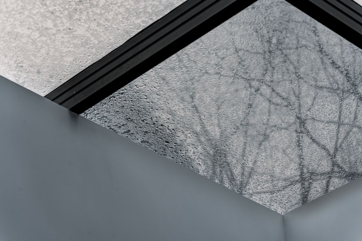 Light in the Room Behind