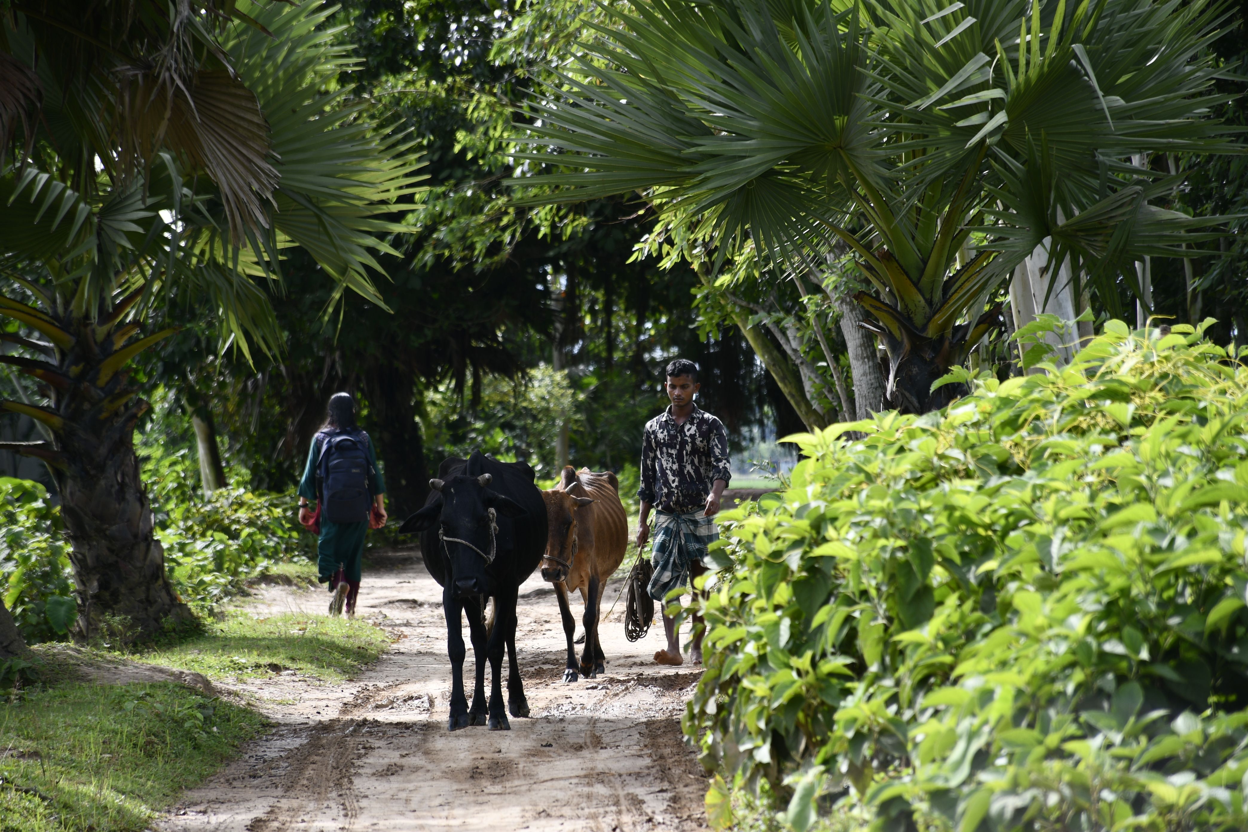 Rangpur