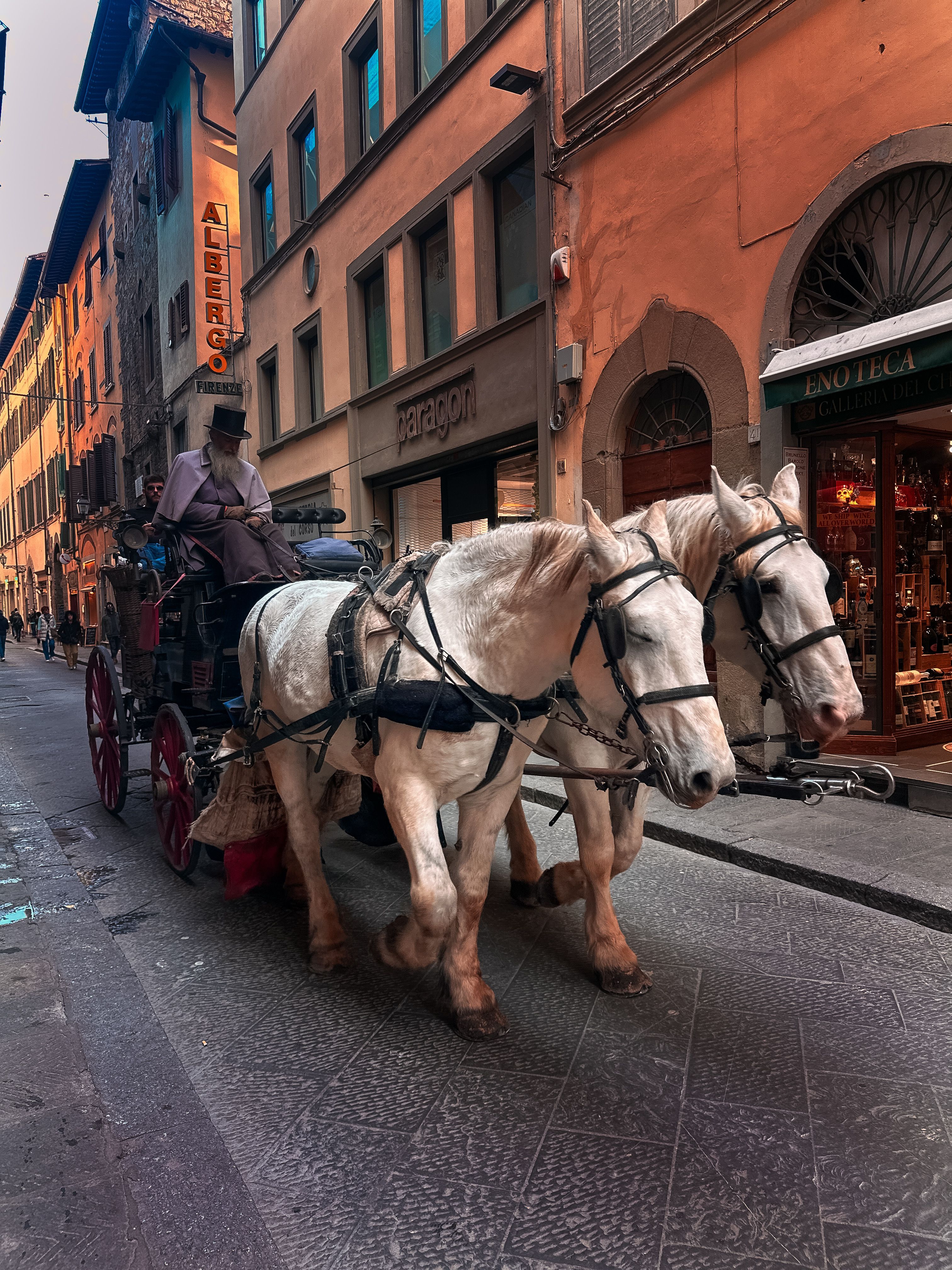 Horse-drawn carriage on a historic European street, capturing a vintage charm and cultural essence.