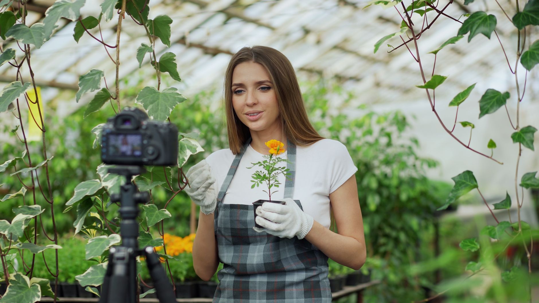 Young gardener filming a plant care tutorial in a bright greenhouse setting.