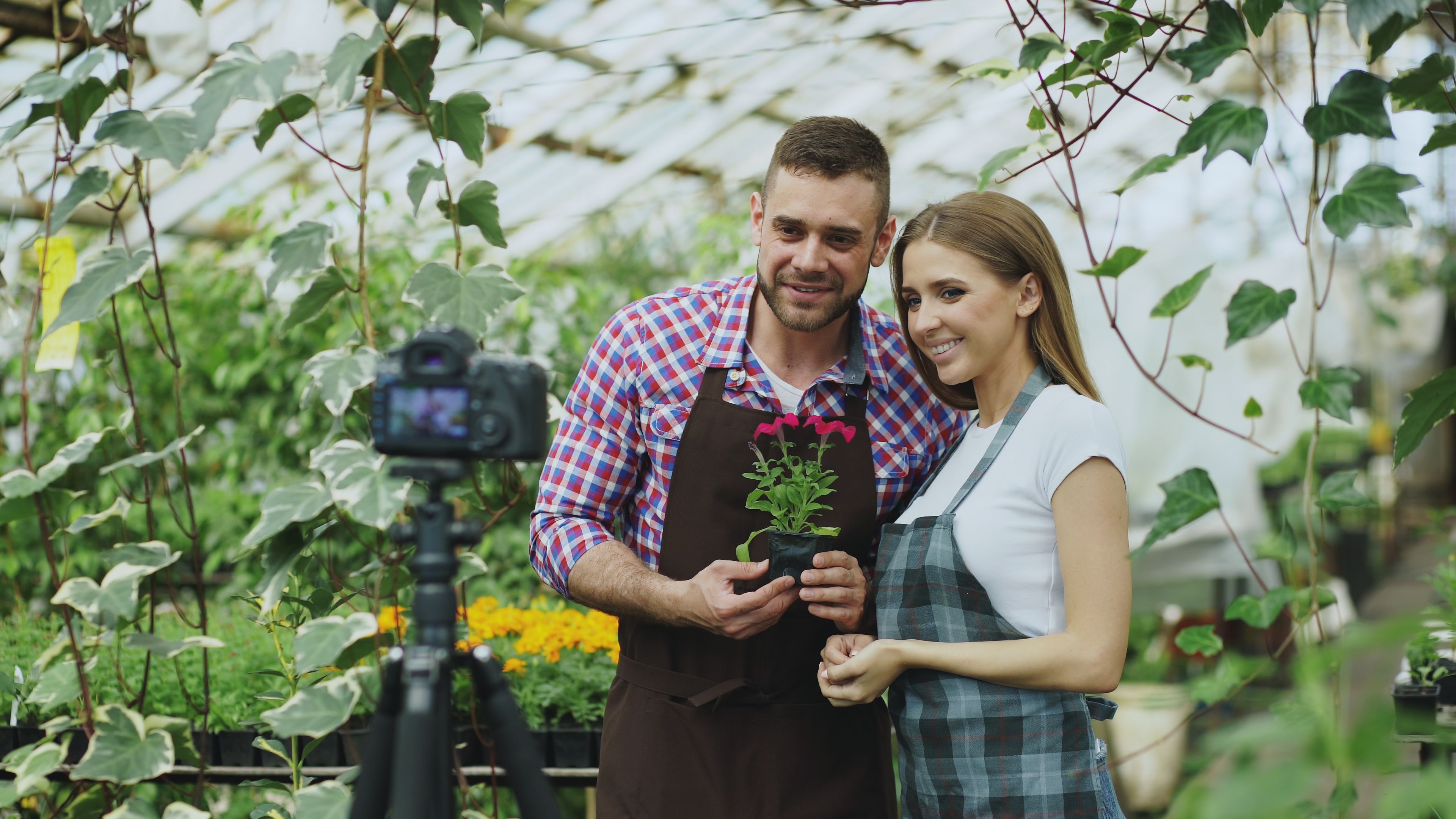 A couple records a gardening video in a lush greenhouse, holding a plant.