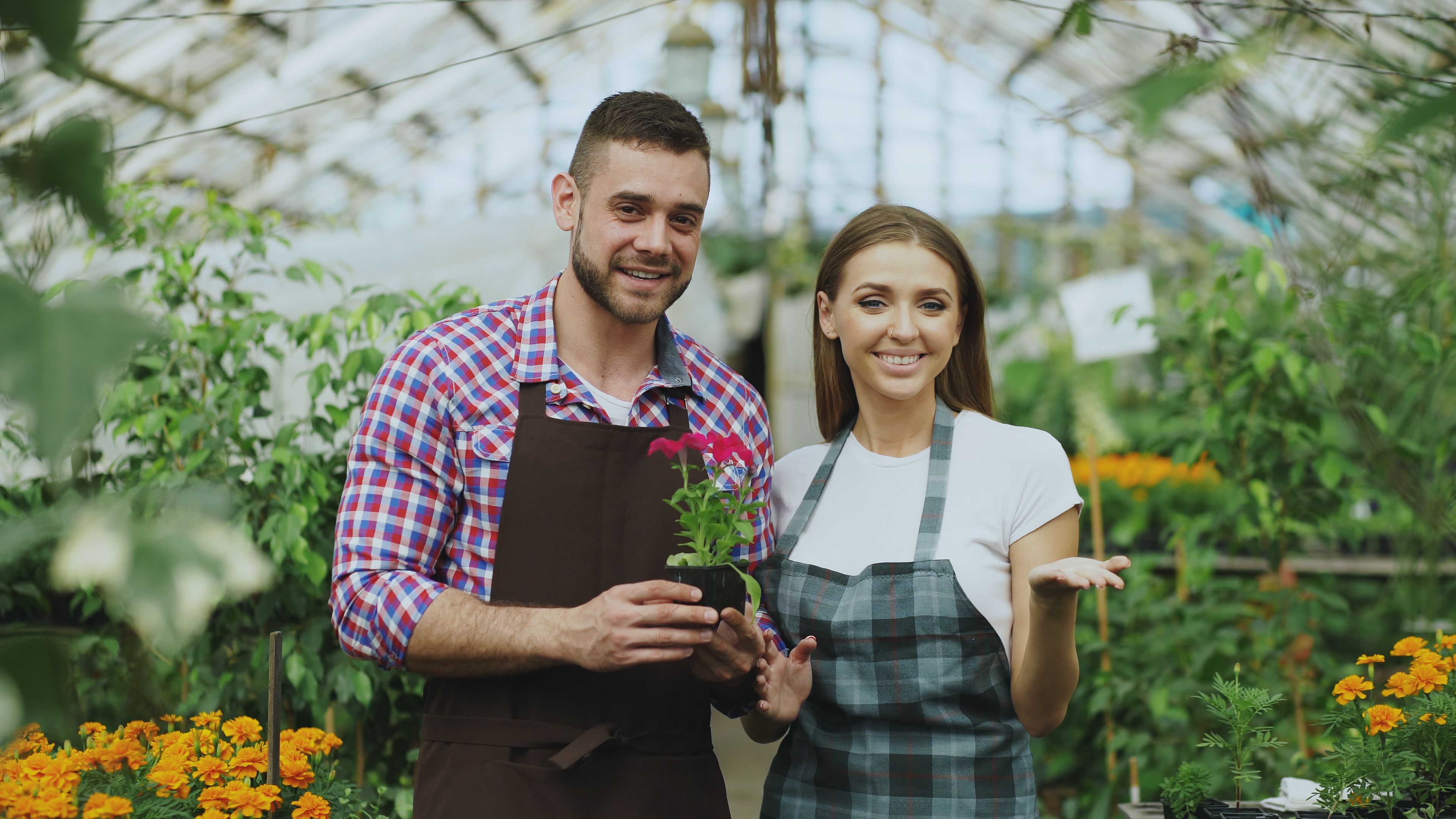 Happy gardeners holding a plant together in a lush greenhouse setting.