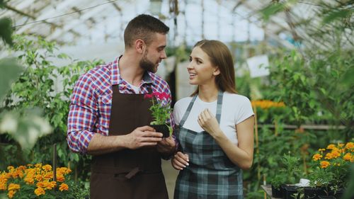 Free Couple joyfully tending plants in a vibrant greenhouse setting. Stock Photo