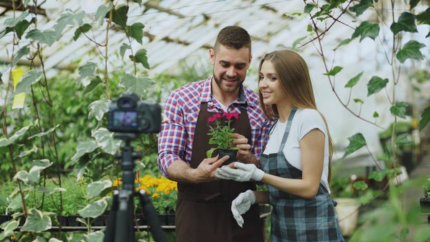 A couple tends to plants in a greenhouse, creating gardening content.