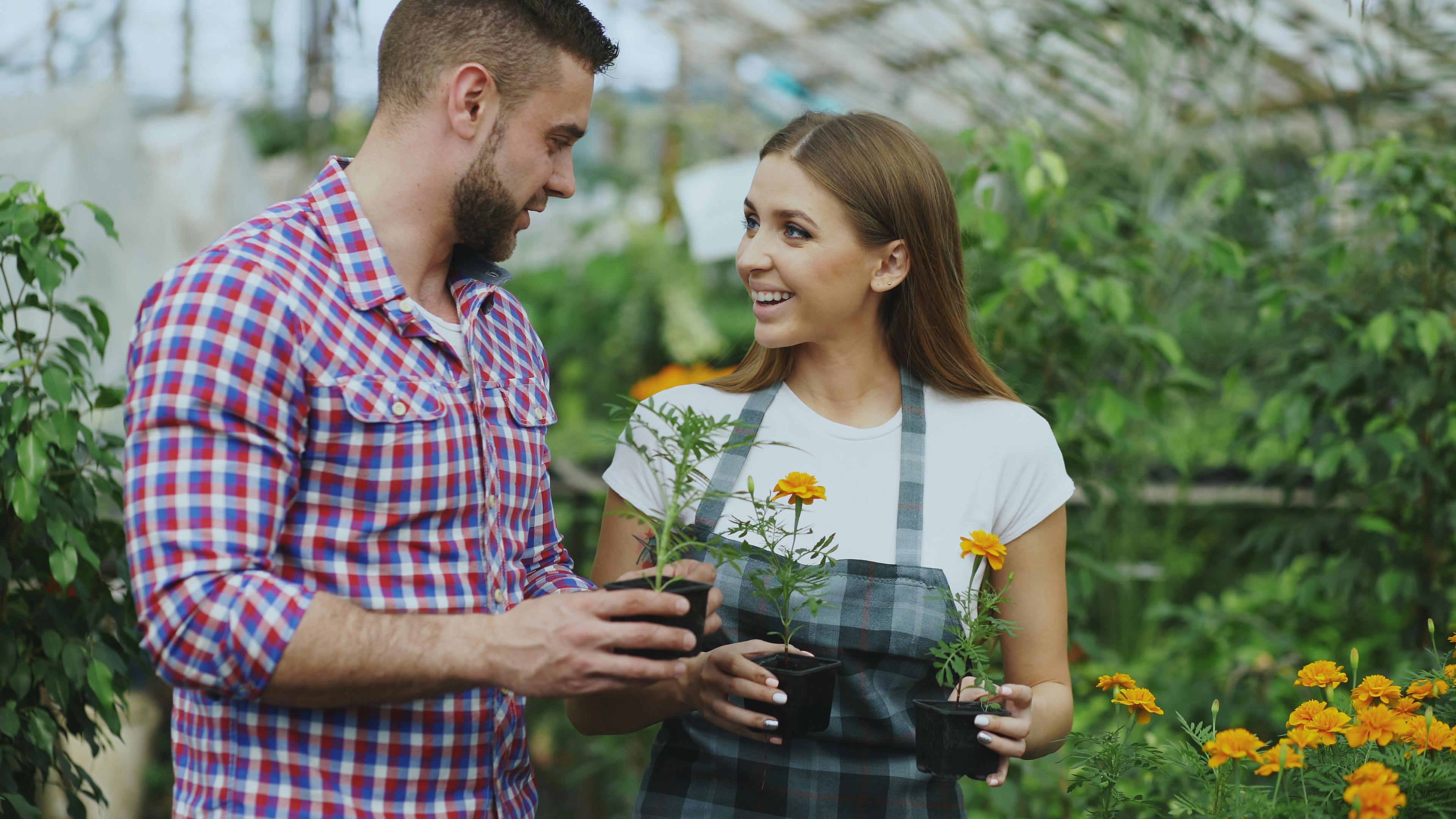 This weekend is the 'Black Friday' of gardening season in Omaha - Omaha World — Photo by Vitaly Gariev on Pexels