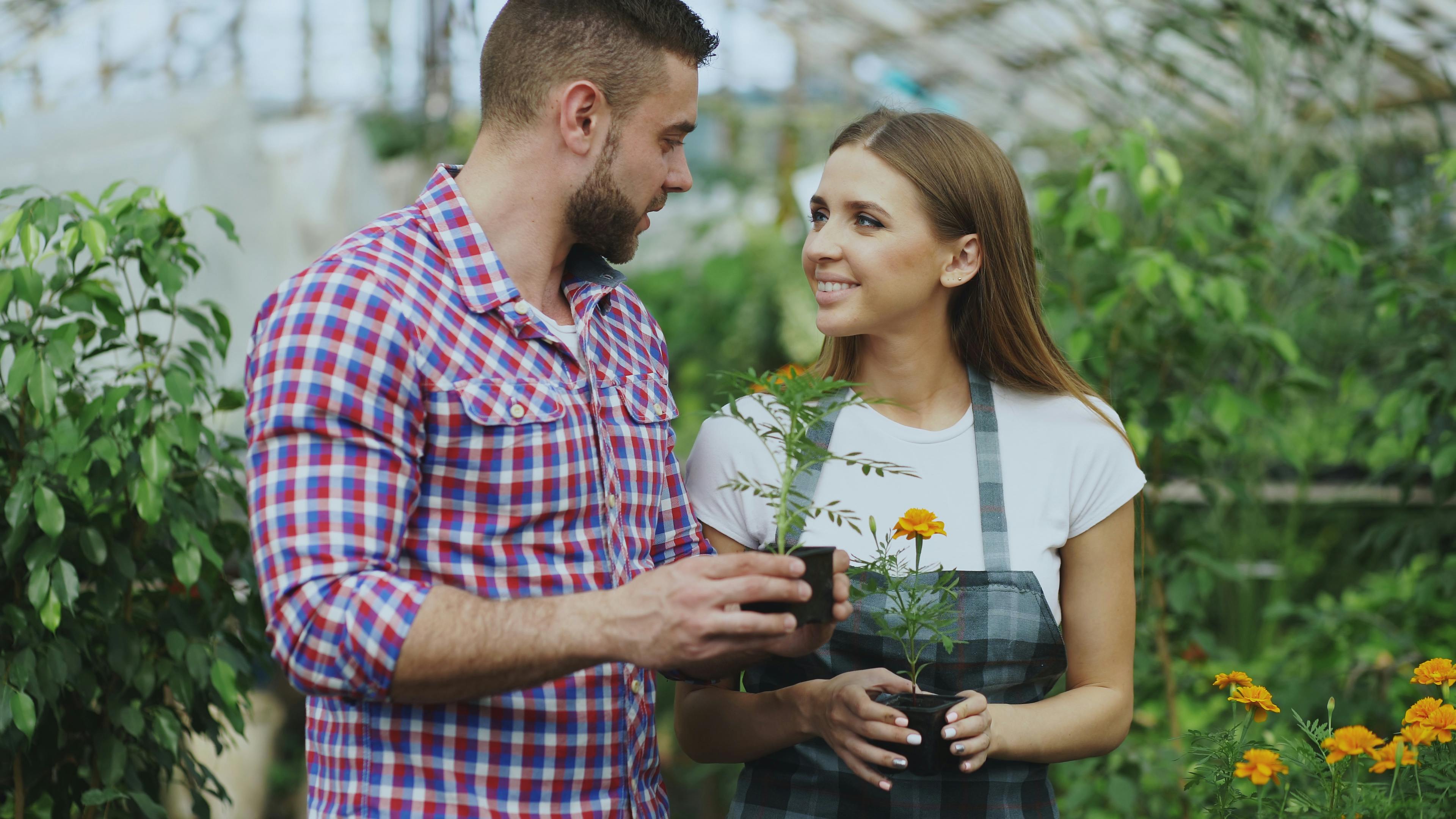 5 gardening tips you can try right in Search — Photo by Vitaly Gariev on Pexels