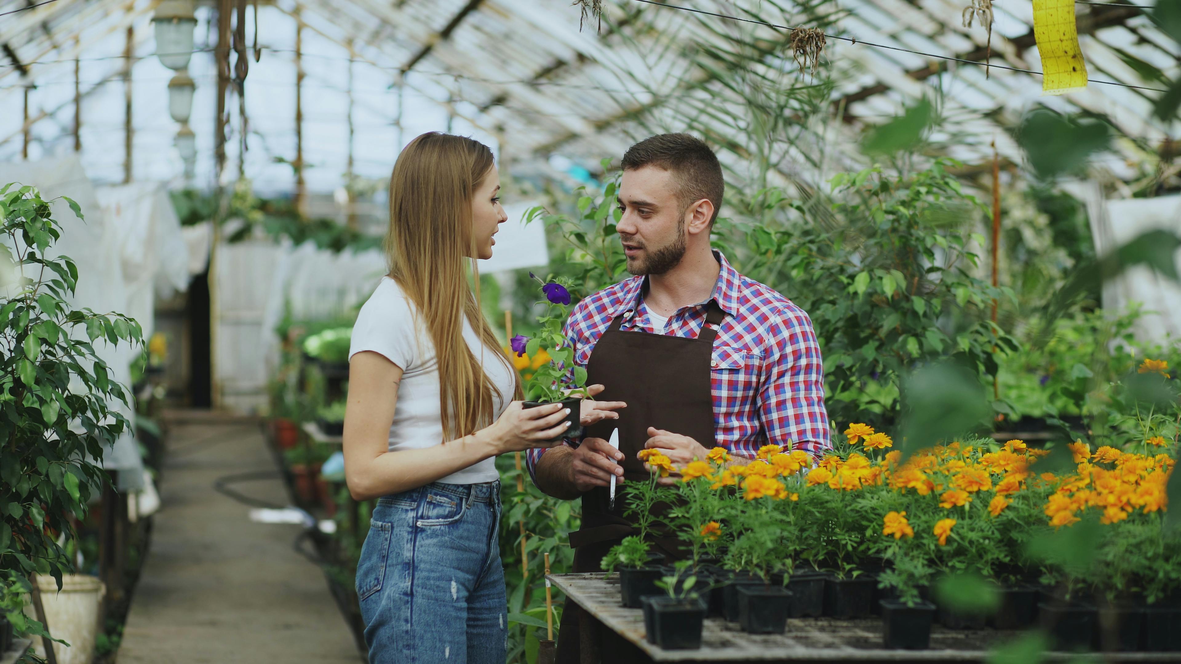 The 14 Best Amazon Gardening Tools, According To Customers — Photo by Vitaly Gariev on Pexels