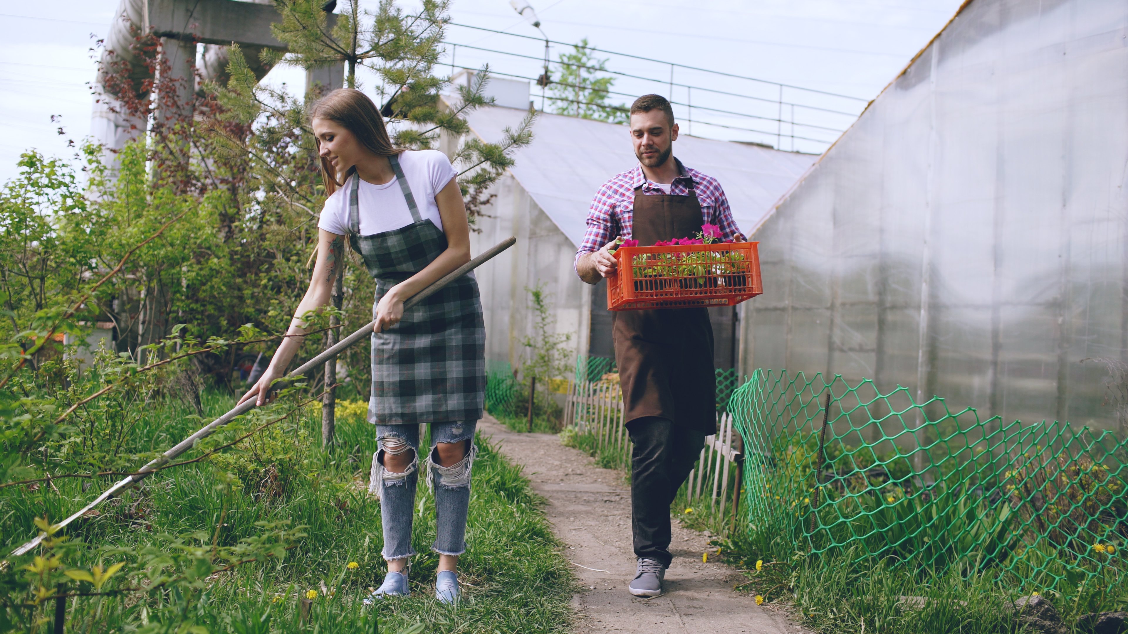 The best gardening tools, tested and expert-approved — Photo by Vitaly Gariev on Pexels