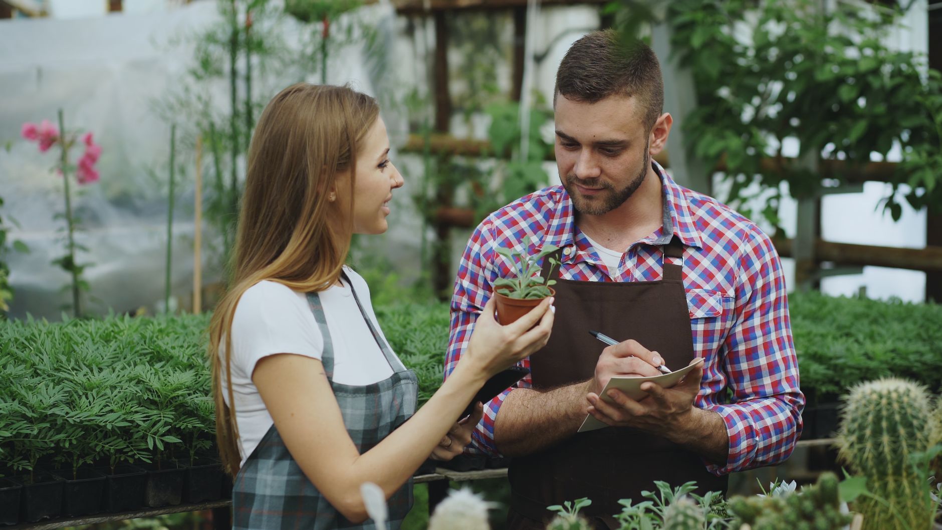 Two gardeners talking about plant care in a greenhouse, surrounded by lush greenery.