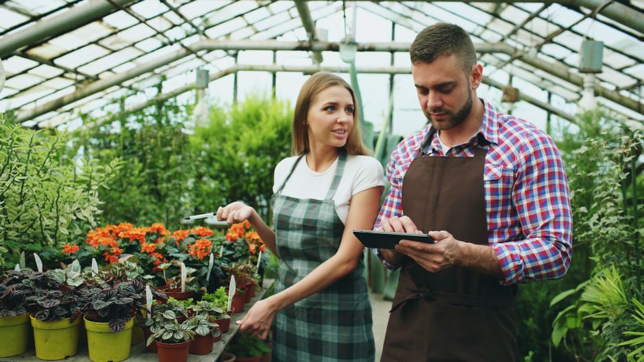 Two workers in a greenhouse using a tablet among various plants and flowers.