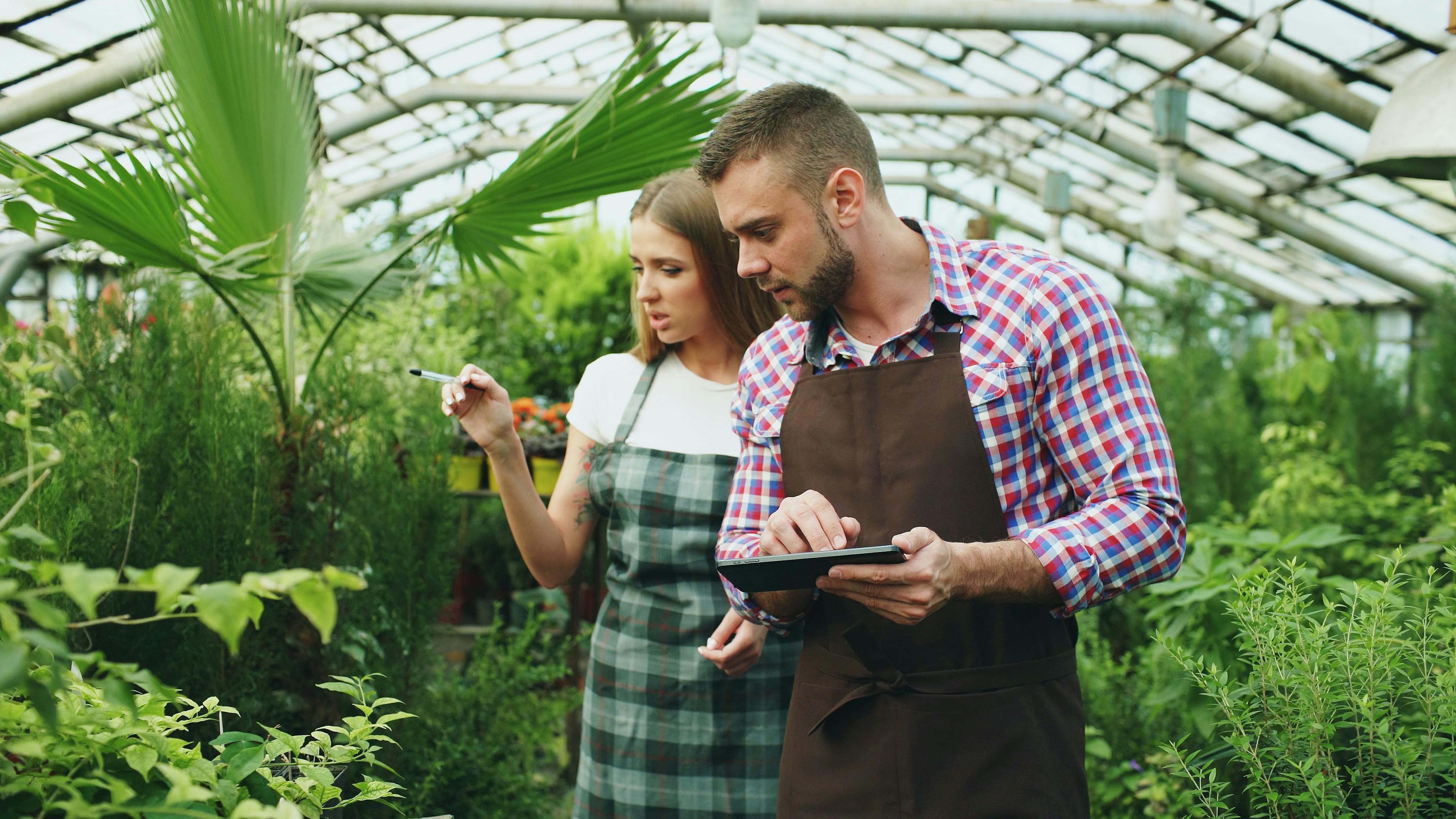 27 Best Gardening Tools for All Plant Parents, From Beginners to Experts — Photo by Vitaly Gariev on Pexels